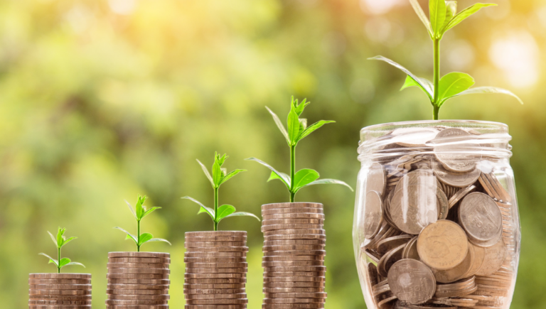 Read more about the article Dopłaty i wsparcie finansowe w Integrowanej Produkcji Roślin w 2025 roku